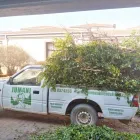 Maatskappy 3 beeld JUMANI TREE FELLING Tree Services in Johannesburg GP