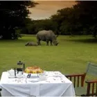 Business 6 image K D A TRAVEL & TOURS Travel Consultants in Midrand GP