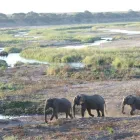 Business 8 image K D A TRAVEL & TOURS Travel Consultants in Midrand GP