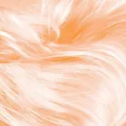 Business 2 image LANGARO DAY SPA ANDF WELLNESS CENTER Wellness in Cape Town WC