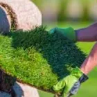 Business 1 image LAWNKING GARDENS® | TREE FELLING & INSTANT LAWN RANDBURG Tree Felling Or Stump Removal in Randburg GP