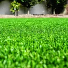 Business 16 image LAWNKING GARDENS® | TREE FELLING & INSTANT LAWN RANDBURG Tree Felling Or Stump Removal in Randburg GP