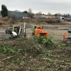 Business 18 image LAWNKING GARDENS® | TREE FELLING & INSTANT LAWN RANDBURG Tree Felling Or Stump Removal in Randburg GP