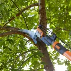 Business 19 image LAWNKING GARDENS® | TREE FELLING & INSTANT LAWN RANDBURG Tree Felling Or Stump Removal in Randburg GP