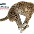 Maatskappy 6 beeld LIFEMASTERS Team Building in Sandton GP