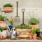 Business 1 image LIFESTYLE HOME GARDEN small garden ideas in Johannesburg GP