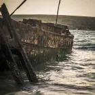 Business 5 image LYNND PHOTOGRAPHY Tutoring in Cape Town WC