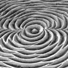 Business 6 image LYNND PHOTOGRAPHY Tutoring in Cape Town WC