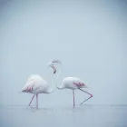 Business 7 image LYNND PHOTOGRAPHY Tutoring in Cape Town WC