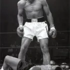 Business 19 image M&V ART & FRAMING Posters in Bryanston GP