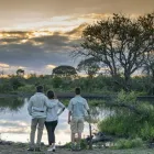 Business 4 image MADIKWE LODGE SOUTH AFRICA Safaris And Operators in Cape Town WC
