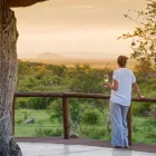 Business 10 image MADIKWE LODGE SOUTH AFRICA Safaris And Operators in Cape Town WC