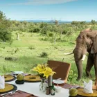 Business 12 image MADIKWE LODGE SOUTH AFRICA Safaris And Operators in Cape Town WC