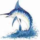 Business 1 image MARLIN BROKERS Transit Insurance in Bloemfontein FS