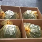 Maatskappy 12 beeld MID PLANT SERVICES Wheel Loaders in Kempton Park GP