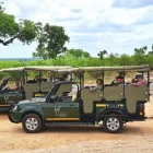 Maatskappy 1 beeld NHONGO SAFARIS Safari in Kruger Park in Johannesburg GP
