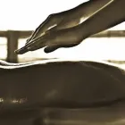 Business 2 image NICOLE'S MASSAGE HAVEN Sensual Massage in Midrand GP