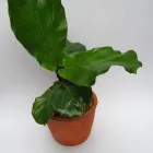 Business 7 image NUNO Interior Designers in Cape Town WC