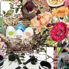 Business 3 image OLIVIA GREY | SEX TOYS Sex Toys for Adults in Johannesburg GP