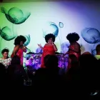 Maatskappy 8 beeld ONE NIGHT ONLY MUSIC Music in Cape Town WC