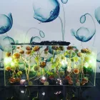 Maatskappy 12 beeld ONE NIGHT ONLY MUSIC Music in Cape Town WC