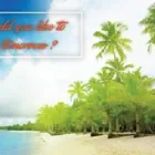 Business 3 image ONE STOP TRAVEL & TOURS Travel Agency in Msunduzi KZN