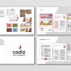 Business 4 image OUT OF THE BLUE CREATIVE AGENCY Website Design in Cape Town WC