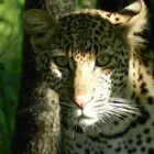 Business 13 image OVER THE HORIZON TOURS Transfer in Cape Town WC