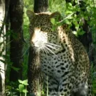 Business 14 image OVER THE HORIZON TOURS Transfer in Cape Town WC