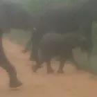 Business 24 image OVER THE HORIZON TOURS Transfer in Cape Town WC