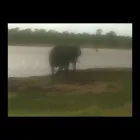 Business 25 image OVER THE HORIZON TOURS Transfer in Cape Town WC