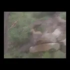 Business 26 image OVER THE HORIZON TOURS Transfer in Cape Town WC