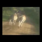 Business 37 image OVER THE HORIZON TOURS Transfer in Cape Town WC