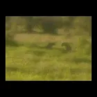 Business 49 image OVER THE HORIZON TOURS Transfer in Cape Town WC