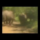 Business 54 image OVER THE HORIZON TOURS Transfer in Cape Town WC