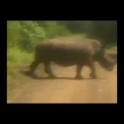 Business 55 image OVER THE HORIZON TOURS Transfer in Cape Town WC