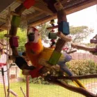 Business 1 image PARROTS SA Yellow Collared Macaws in Benoni GP
