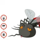 Business 1 image PEST CONTROL NEAR ME Pest Control Services in Cape Town WC