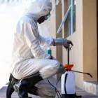 Business 2 image PEST MANAGERS CAPE TOWN Pest Control in Cape Town WC