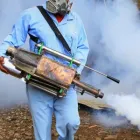 Business 3 image PEST MANAGERS CAPE TOWN Pest Control in Cape Town WC