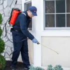 Business 1 image PEST MANAGERS CAPE TOWN Pest Control in Cape Town WC