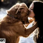 Business 11 image PETPORT ANIMAL TRAVEL SERVICE Transport in Sandton GP