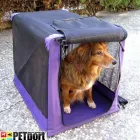 Business 2 image PETPORT ANIMAL TRAVEL SERVICE Transport in Sandton GP