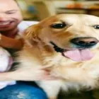 Maatskappy 1 beeld PETPORT PET RELOCATION SERVICE Pets in Johannesburg GP