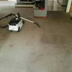 Business 3 image PINKY & THE STAIN PROFESSIONAL CARPET CLEANERS Upholstery cleaners in KZN in Port Elizabeth EC