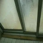 Business 6 image PINKY & THE STAIN PROFESSIONAL CARPET CLEANERS Upholstery cleaners in KZN in Port Elizabeth EC