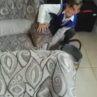 Business 12 image PINKY & THE STAIN PROFESSIONAL CARPET CLEANERS Upholstery cleaners in KZN in Port Elizabeth EC