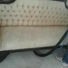 Business 16 image PINKY & THE STAIN PROFESSIONAL CARPET CLEANERS Upholstery cleaners in KZN in Port Elizabeth EC