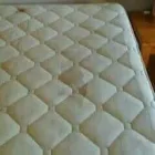 Business 23 image PINKY & THE STAIN PROFESSIONAL CARPET CLEANERS Upholstery cleaners in KZN in Port Elizabeth EC