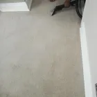 Business 31 image PINKY & THE STAIN PROFESSIONAL CARPET CLEANERS Upholstery cleaners in KZN in Port Elizabeth EC